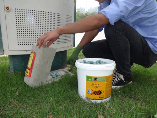 白蟻防治方法有哪些？